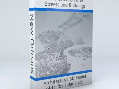 New Orleans Downtown Streets and Buildings 3D model