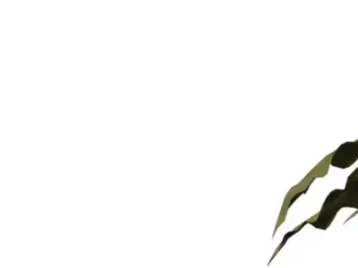 Stylized Groundleaf Cluster Pack  Low-poly 3D model