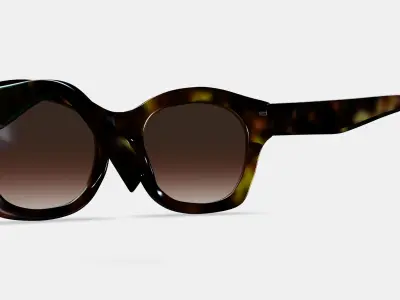 Gael Sunglasses in Cognac Tortoise 3D model