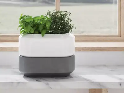 Chefn Large Herb Planter Box 3D model