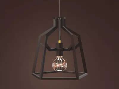 Skeleton pendant light with metal frame 3D model