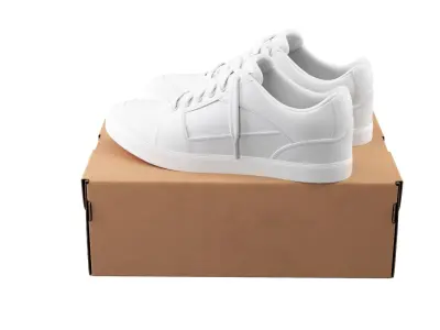  Shoe Box with Sneakers 