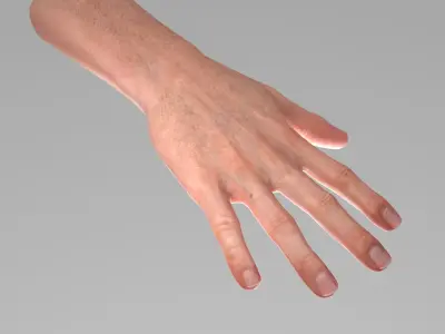  Realistic Male Hand Rigged 