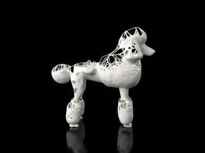 Poodle Dust Voronoi Low-poly 3D model