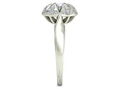 Women Ring  Render 3dm STL OBJ FBX Details 3D print model 71