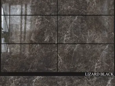 Decovita Lizard Black 600x1200 3D model