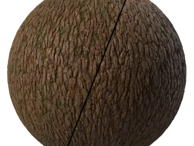 Bark Materials 03- Seamless PBR 4k Texture