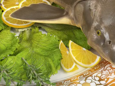  Plated Sturgeon with Herbs and Lemons 