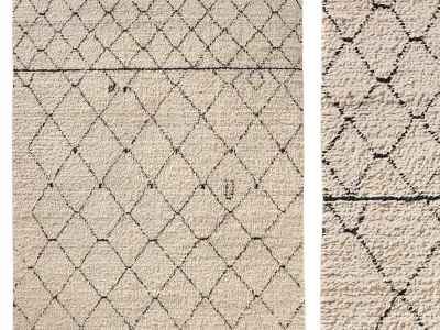 NADIM WOOL RUG 3D model