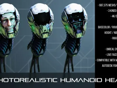 Photorealistic Humanoid Head 3D model