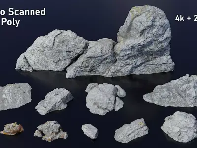 Rocks Covered in Lichen 10 Pack Low-poly 3D model