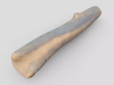 Dead Wood 6 Low-poly 3D model