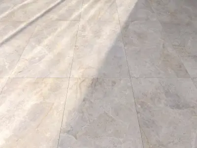 Marble Floor Amazon Bone Texture