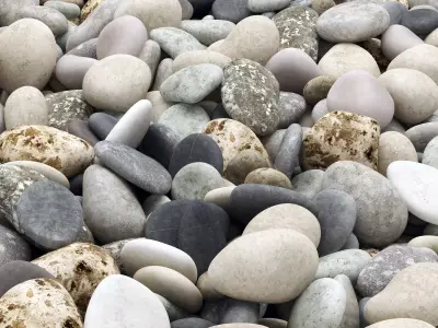 Pebble color 3D model