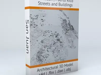 San Juan Puerto Rico Streets and Buildings 3D model