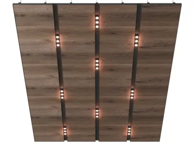Wooden suspended ceiling with lighting 35 3D model