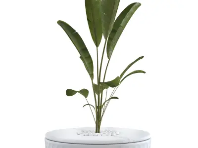 Vondom Vases Island with plant 3D model