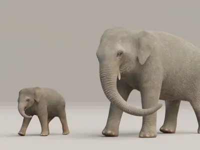 Rigged Adult Elephant And Baby Elephant Low-poly 3D model