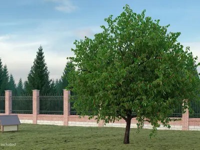  Cherry Trees and Fruits Collection 