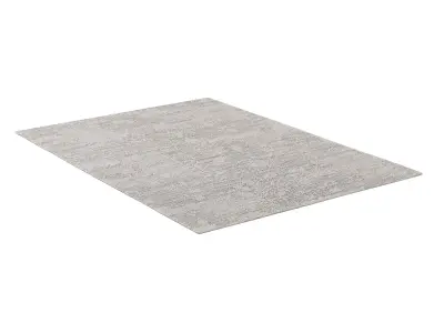 DASANI HANDWOVEN RUG 3D model