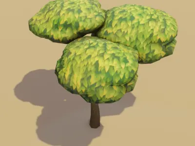 Cartoon Acacia Tree 3D Model Low-poly 3D model
