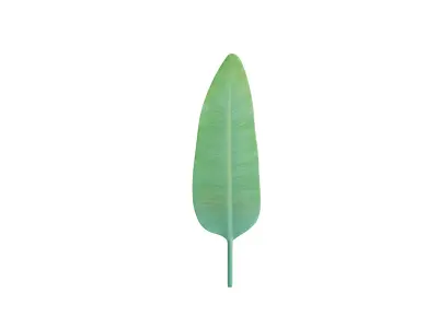 Big Leaf Low-poly 3D model