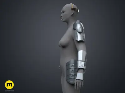 Shin Hati Cosplay Armor Star Wars Ahsoka 3D print model