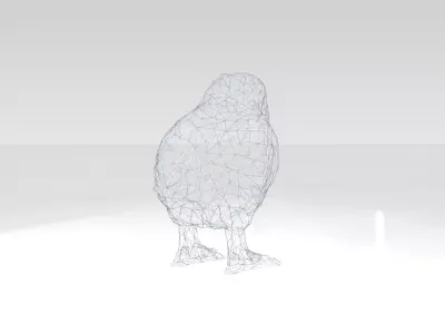 Chick Wireframe 3D model