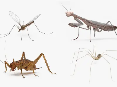  Insects Collection 3 