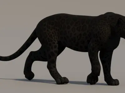  Animated Black Panther 3D Model 