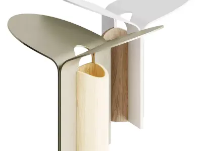 Petal Lamp 3D model