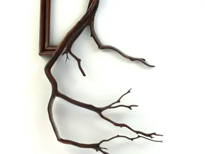 Decorative Frame 3D model order