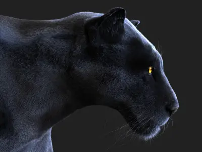  BLACK PANTHER ANIMATED XGEN-CORE 