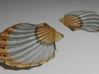 shell soap dish 3D model