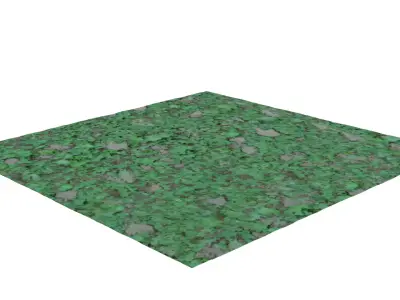 Clover grass 3D model