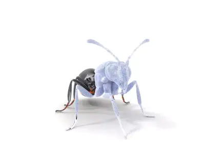 Futuristic Black Ant model pack Low-poly 3D model