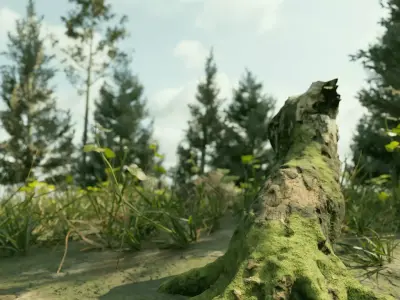Ultra Realistic FOREST 3D model