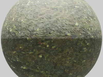 Forest path - 4K PBR BRDF material Texture