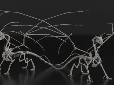  Fantasy Dragon Creature and Skeleton Collection 