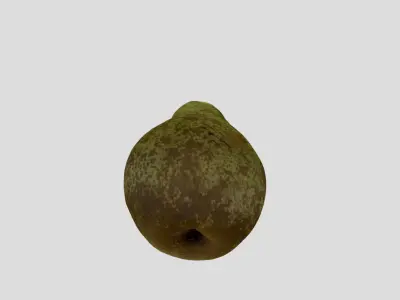 A pear fruit 3D model
