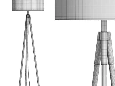 Crate And Barrel Hyde Brass and Bronze Metal Tripod Floor Lamp 3D model