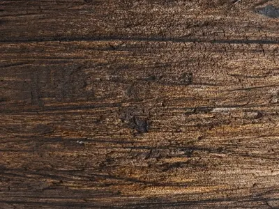 seamless natural wood material Texture