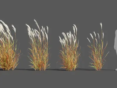  Plants Pack 3: Ornamental Grasses (+GrowFX) 