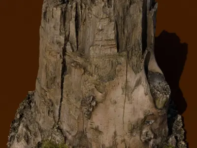 4K High Polly Tree Stump And Branch 3D model
