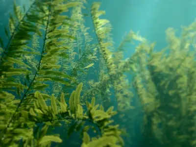 Procedural Kelp Forest Environment 3D model
