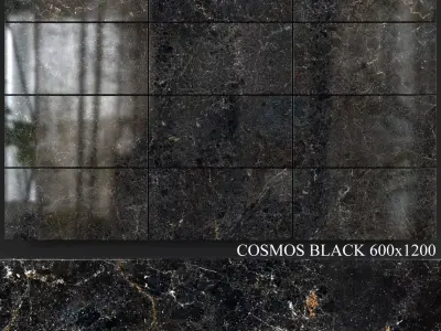 Yurtbay Seramik Cosmos Black 600x1200 3D model