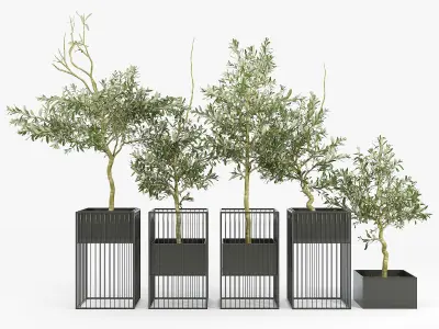 Kehlani Plant Stand Olea 3D model