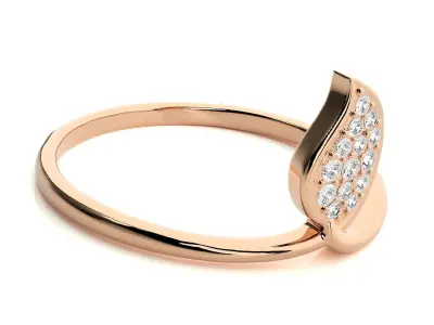 Ring - 78 3D print model