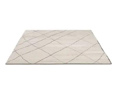 AANSHI WOOL RUG 3D model