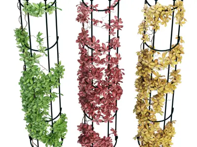 Drainpipe trellis 3D model